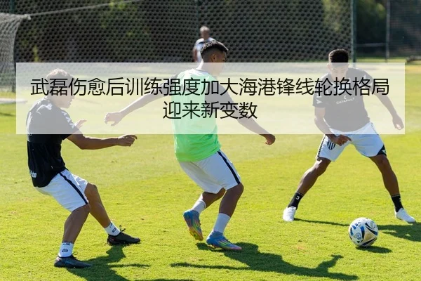 武磊伤愈后训练强度加大海港锋线轮换格局迎来新变数